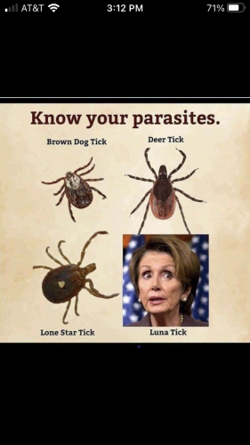 7E18CBCF-13E3-4694-B0C7-E5BA3D209764