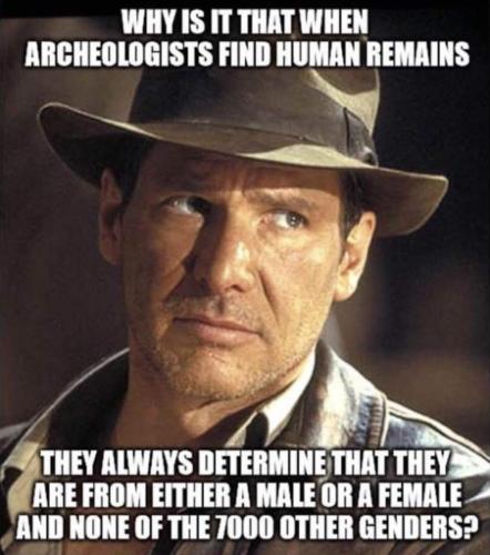M Archeologists