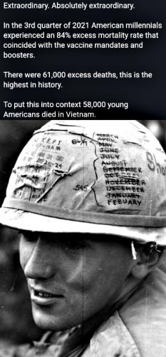 84% excess mortality