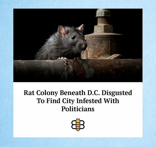 Screenshot_20220405-015857~2