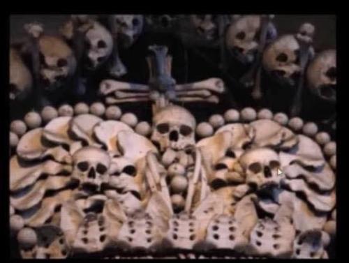 photo_2021-02-19_12-23-02