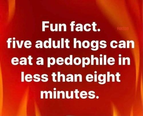 fun fact