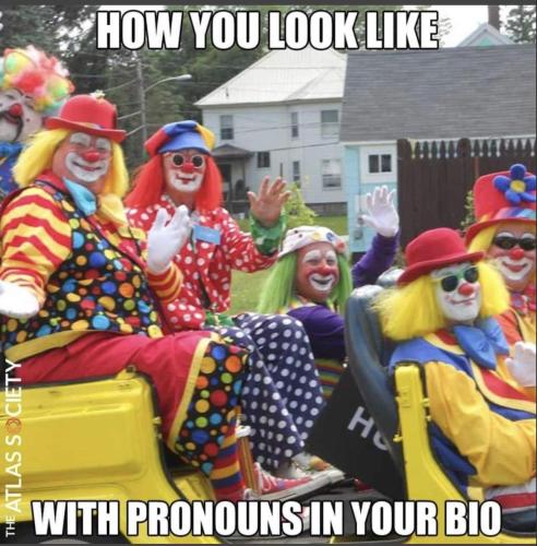 pronouns in your bio
