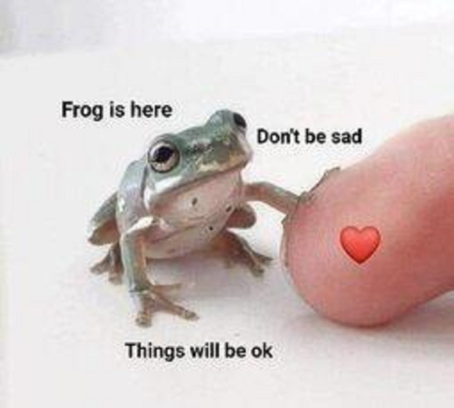 Every little thing