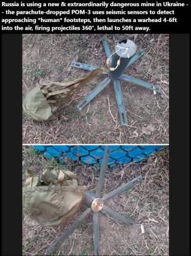 As the US military  worries  about proper pronoun usage