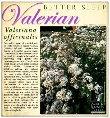 4CEA063F-861E-455D-8ACB-92140A98A78D