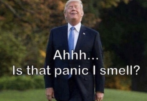 img - 2022-04-06T135919.029