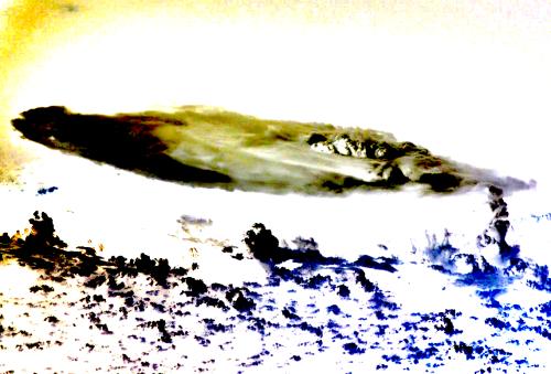 image_search_1571586783359_Edited