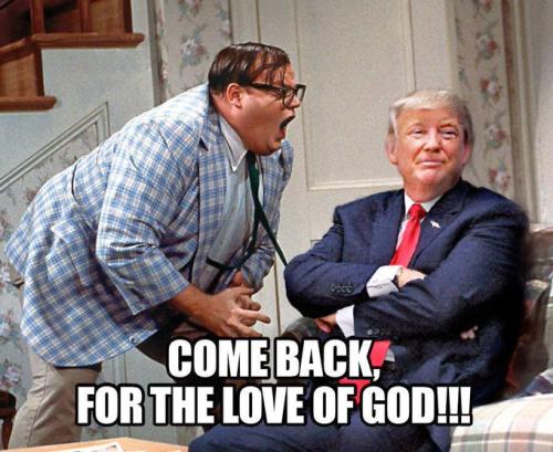come back