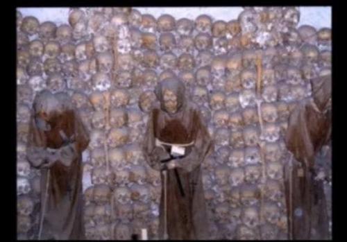 photo_2021-02-19_12-23-49