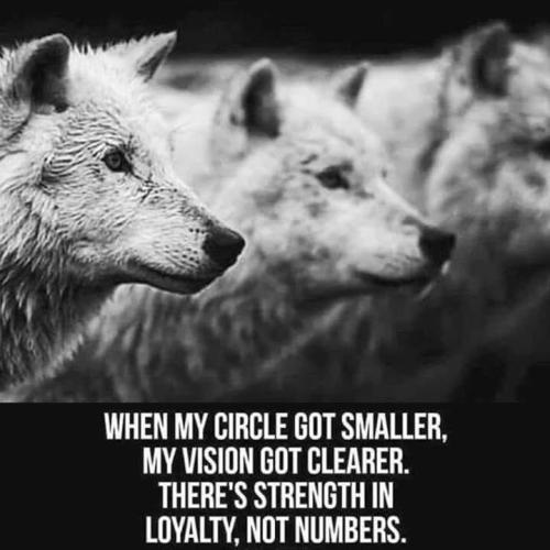 Strength - It's in loayalty