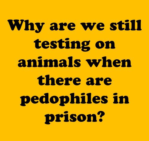 testing