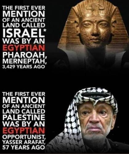 277664417_10160203389411869_979716431940621769_n