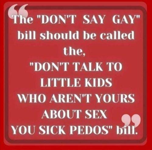 don't say gay bill