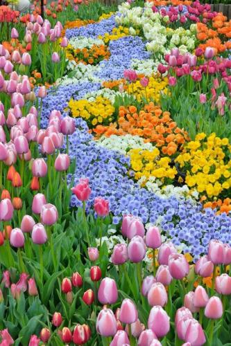 FB_IMG_1650822276669