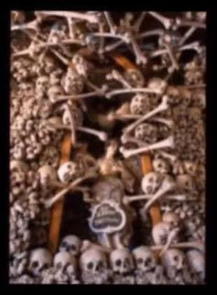 photo_2021-02-19_12-23-38