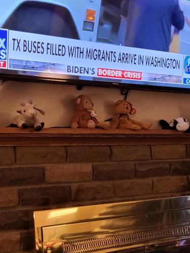 6f5862a4-e0af-4f60-9370-a481f2473556