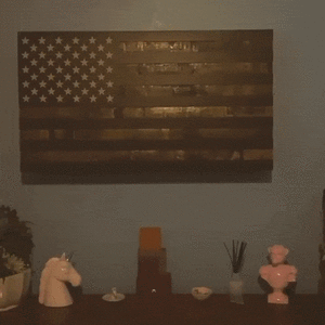 __87fa8376bab13e31482dc75316f0308b_width-300