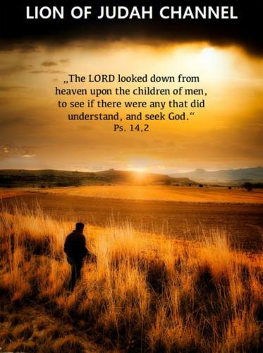 d1c95707-97b0-48fc-90e7-ce6d7e0f3a8e