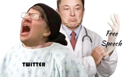 musk free speech 1