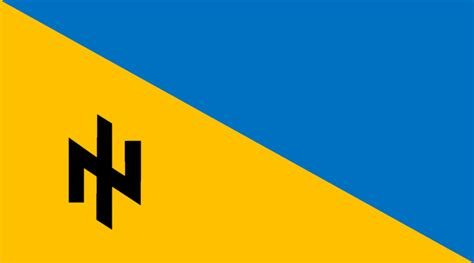 Ukraine fascist flag
