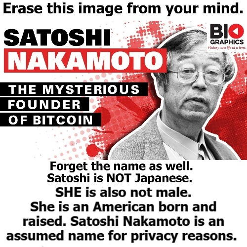 SMALL Satoshi Nakamoto FAKE