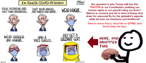 Fauci orders arrest him