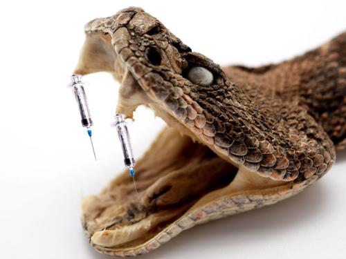Snake Bite 2