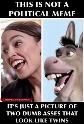 TWO DUMB ASSES