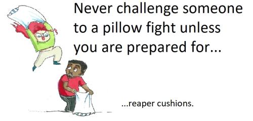 20220414 reaper cushions