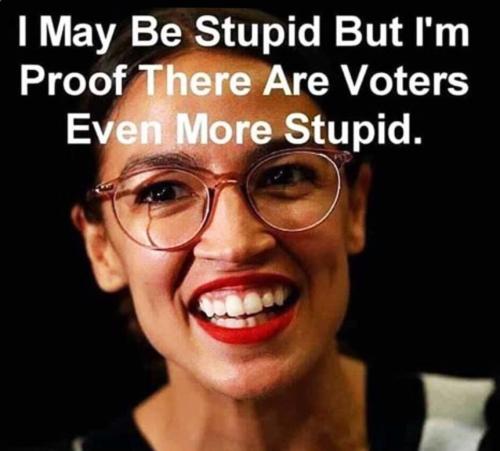AOC stupid