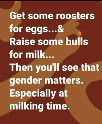 F889E7CB-95B7-4BE9-83AC-8343134E0A92