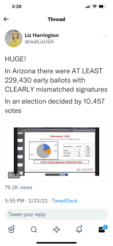 AZ BALLOTS