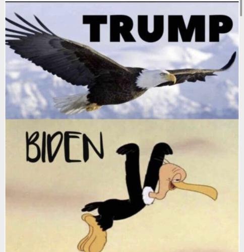 B3D5BE20-CEC8-4B33-8CE9-0DC1B29FB0DF