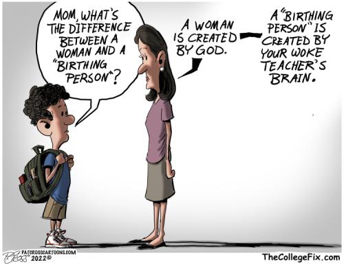 Woke Teachers Brain