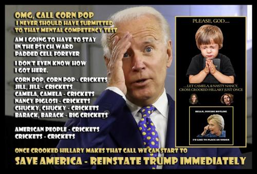 1-1-A-A-A-A_1-A-A-A-BIDEN-BUNGLER-BIG-GUY-PSYCH-WARD-1