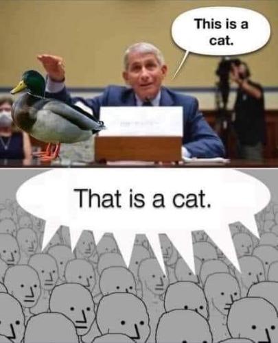 184