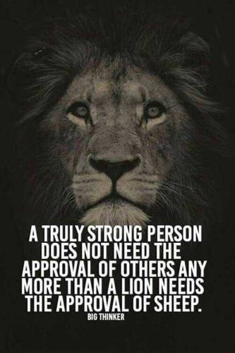 561792A9-4740-42F3-ABB5-DC883D39739F