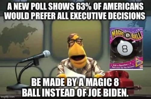 81