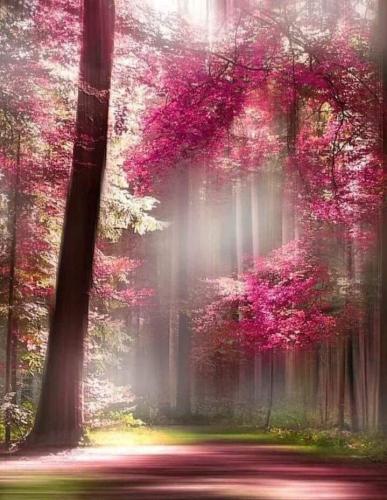 FB_IMG_1651198495969