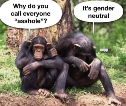 279246146_5353686344695229_6530281994023606902_n