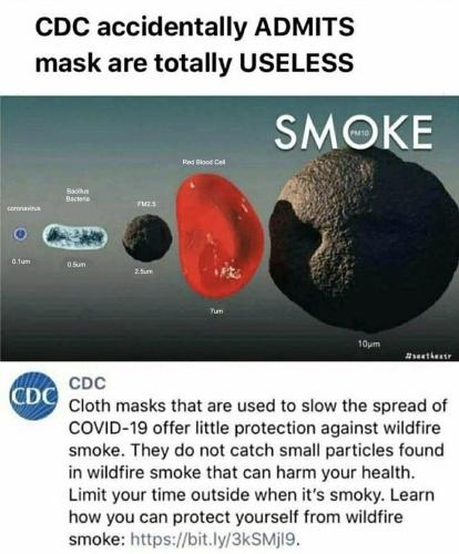 CDC masks useless