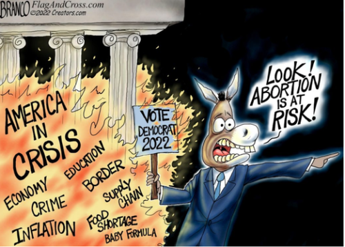 abortion at risk