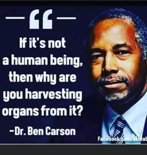 goodquestiontards