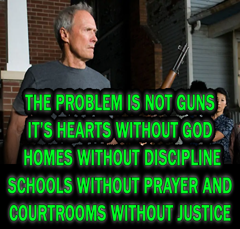 the problem is not guns