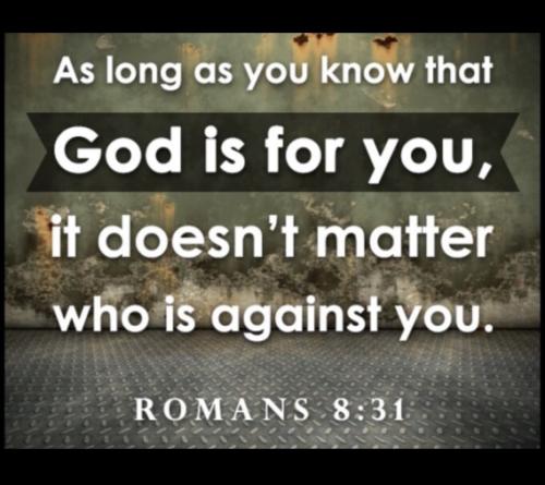 17777CEA-15B3-440A-AD8F-88A35C6F0480