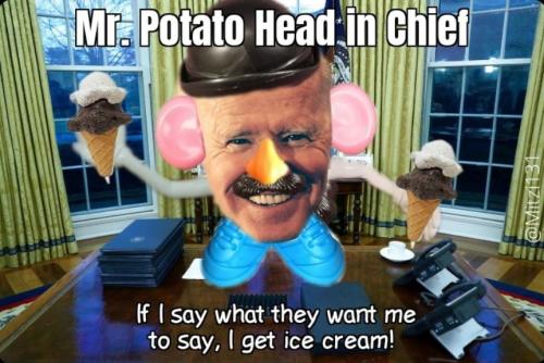 bidenmrpotatochief