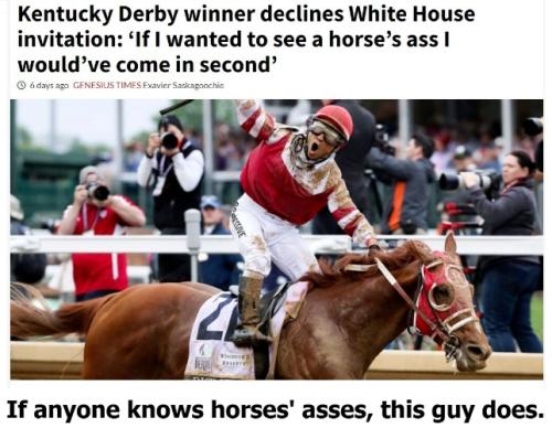 Kentucky Derby winner on horses asses 644px