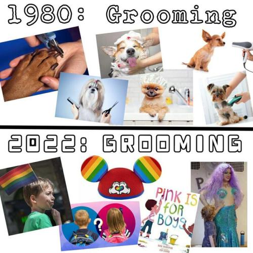 Grooming - 1980 vs. 2020