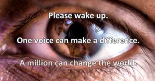 Capture+_2022-05-18-17-22-06(1)